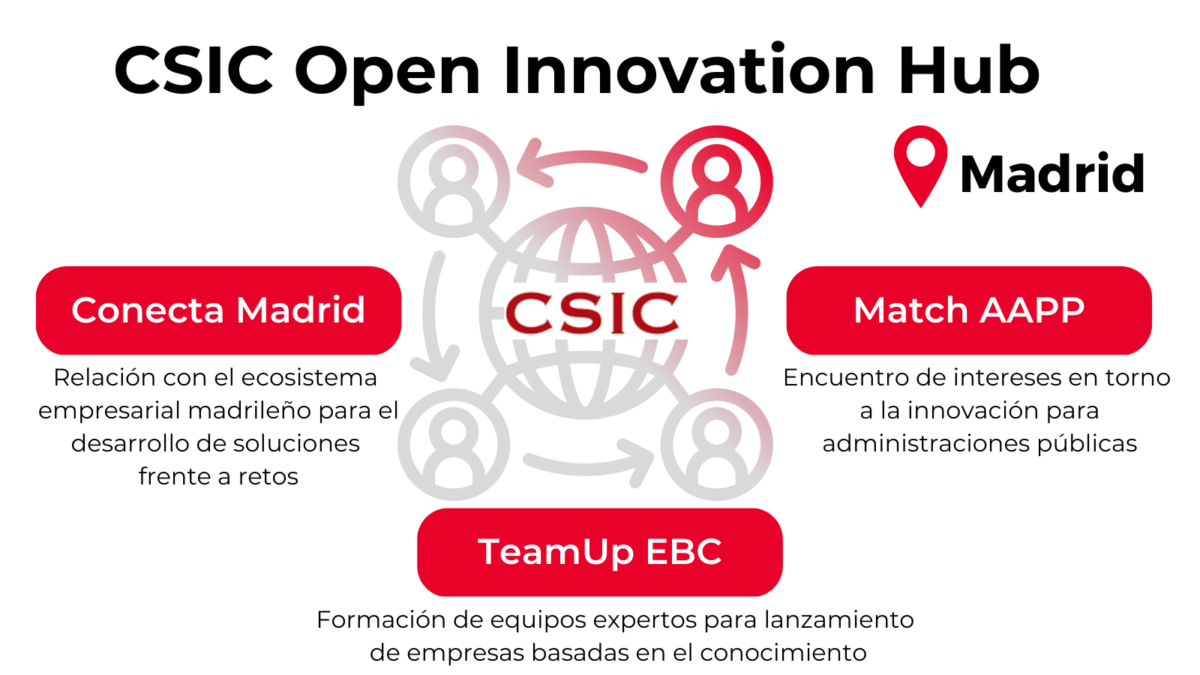 Arranca el proyecto 