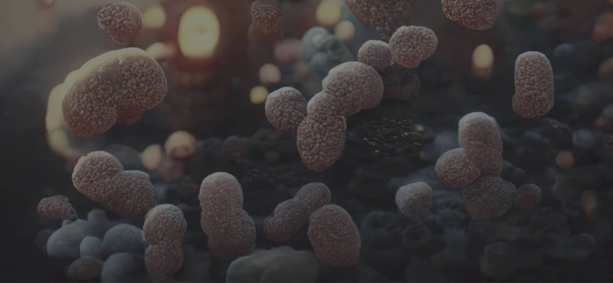 INMUNOBIOTA